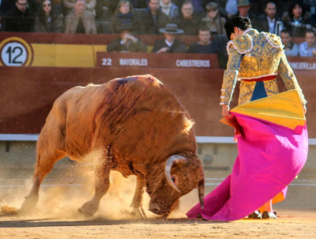 Corridas de toros en Castellón