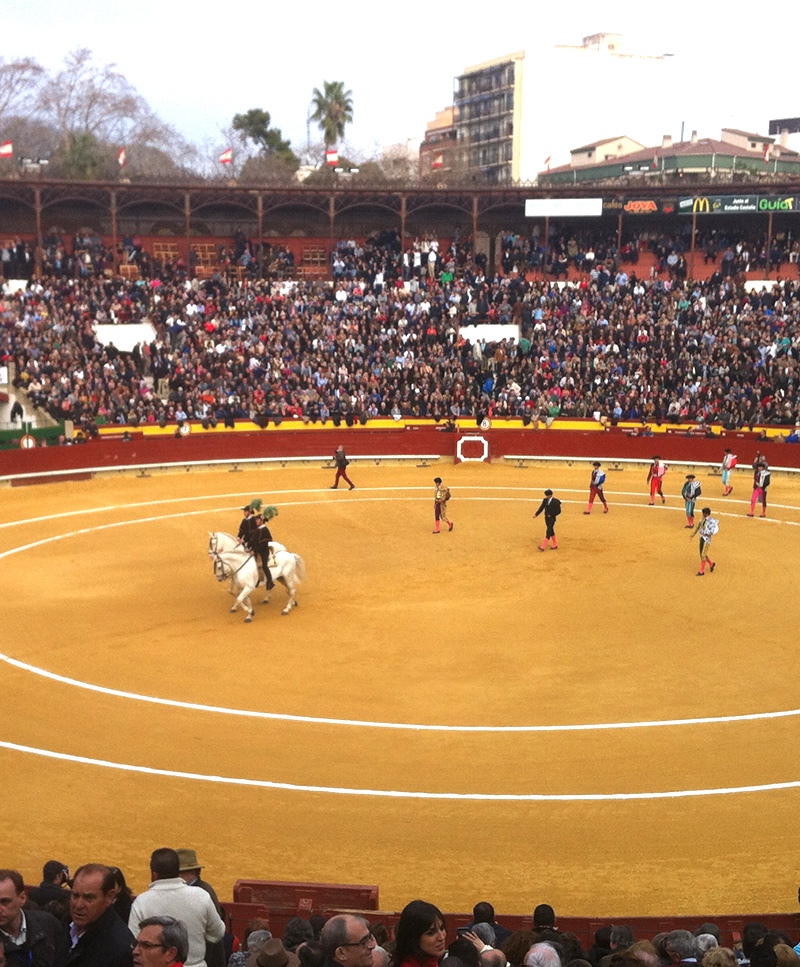 Plaza de toros de Castellón, José Miguel Arruego