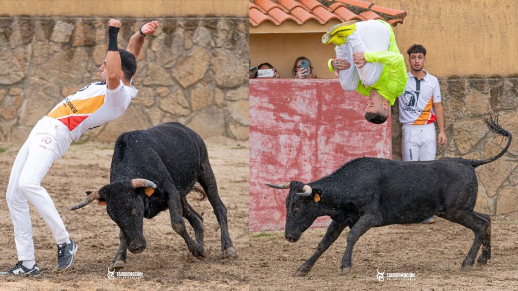 Quiebros y Saltos